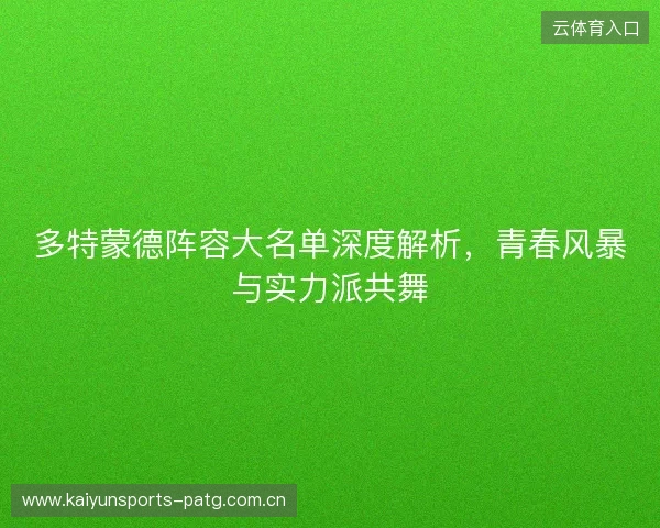 多特蒙德阵容大名单深度解析，青春风暴与实力派共舞