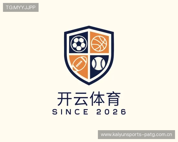 概况开云app